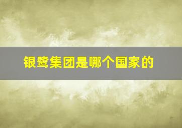 银鹭集团是哪个国家的