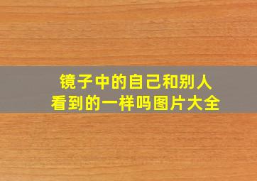 镜子中的自己和别人看到的一样吗图片大全