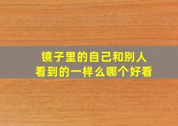 镜子里的自己和别人看到的一样么哪个好看