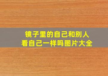 镜子里的自己和别人看自己一样吗图片大全