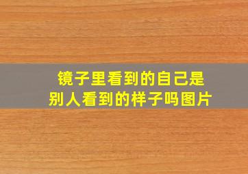 镜子里看到的自己是别人看到的样子吗图片