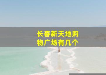 长春新天地购物广场有几个