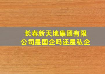 长春新天地集团有限公司是国企吗还是私企