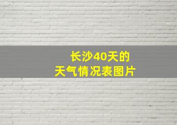 长沙40天的天气情况表图片