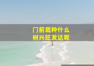 门前栽种什么树兴旺发达呢