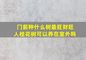 门前种什么树最旺财旺人桂花树可以养在室外吗