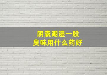 阴囊潮湿一股臭味用什么药好