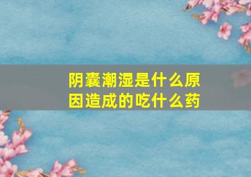 阴囊潮湿是什么原因造成的吃什么药