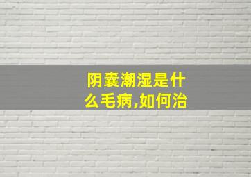 阴囊潮湿是什么毛病,如何治