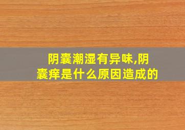 阴囊潮湿有异味,阴囊痒是什么原因造成的