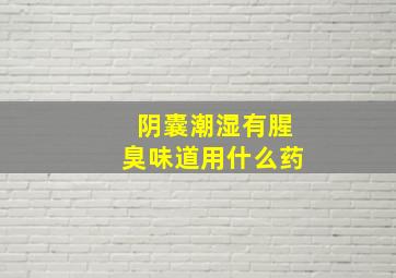 阴囊潮湿有腥臭味道用什么药