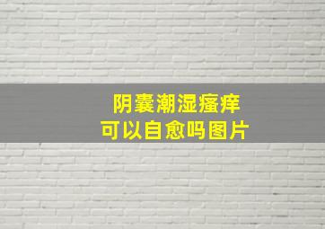 阴囊潮湿瘙痒可以自愈吗图片