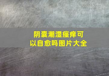 阴囊潮湿瘙痒可以自愈吗图片大全