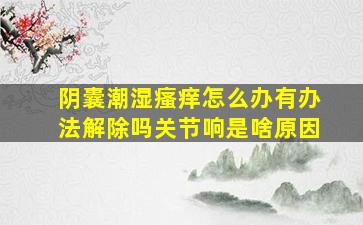 阴囊潮湿瘙痒怎么办有办法解除吗关节响是啥原因