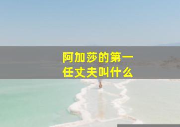 阿加莎的第一任丈夫叫什么