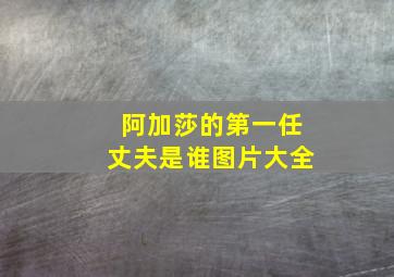 阿加莎的第一任丈夫是谁图片大全