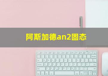 阿斯加德an2固态