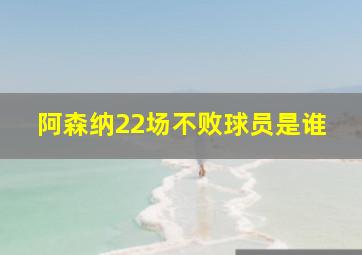 阿森纳22场不败球员是谁