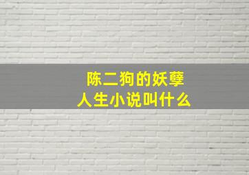 陈二狗的妖孽人生小说叫什么