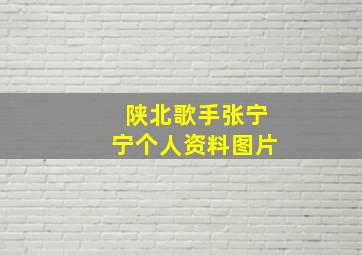 陕北歌手张宁宁个人资料图片