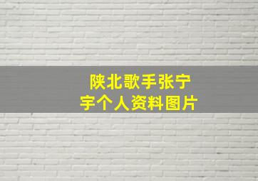 陕北歌手张宁宇个人资料图片