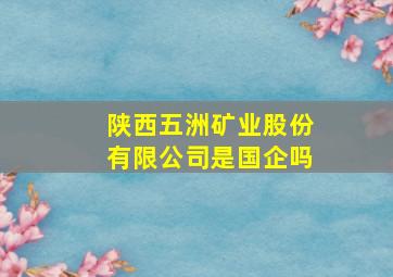 陕西五洲矿业股份有限公司是国企吗