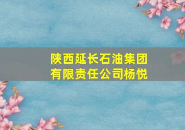 陕西延长石油集团有限责任公司杨悦