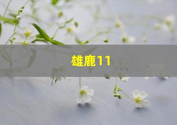 雄鹿11