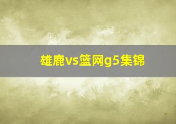 雄鹿vs篮网g5集锦