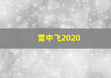 雪中飞2020