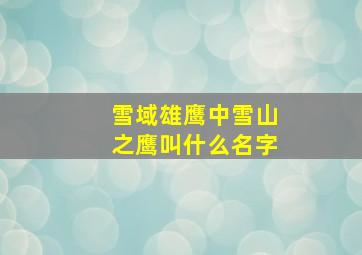 雪域雄鹰中雪山之鹰叫什么名字