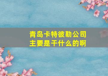 青岛卡特彼勒公司主要是干什么的啊