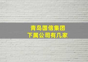 青岛国信集团下属公司有几家