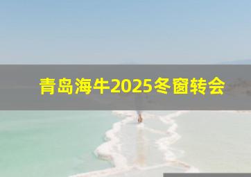 青岛海牛2025冬窗转会