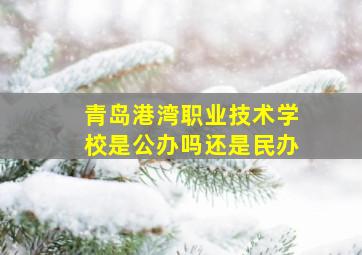 青岛港湾职业技术学校是公办吗还是民办