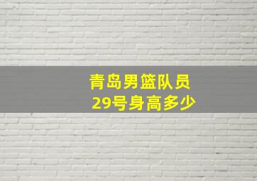 青岛男篮队员29号身高多少