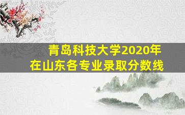 青岛科技大学2020年在山东各专业录取分数线