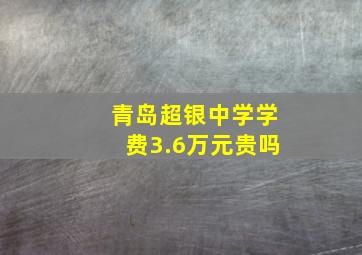 青岛超银中学学费3.6万元贵吗