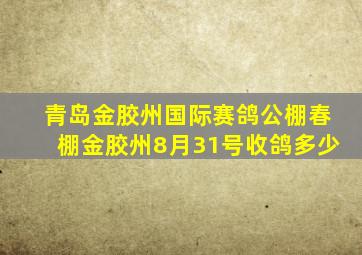 青岛金胶州国际赛鸽公棚春棚金胶州8月31号收鸽多少