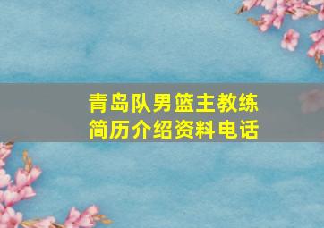 青岛队男篮主教练简历介绍资料电话