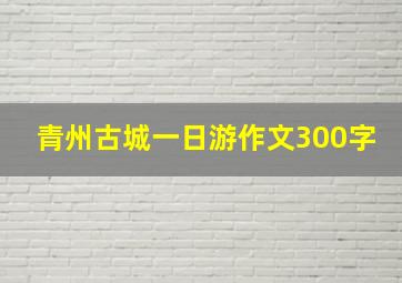 青州古城一日游作文300字