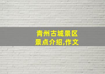 青州古城景区景点介绍,作文