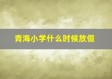 青海小学什么时候放假