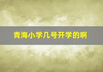 青海小学几号开学的啊