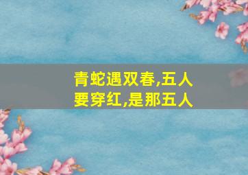 青蛇遇双春,五人要穿红,是那五人