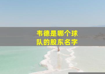 韦德是哪个球队的股东名字