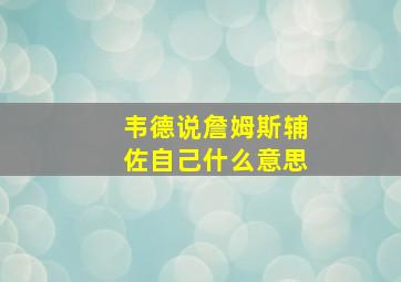 韦德说詹姆斯辅佐自己什么意思