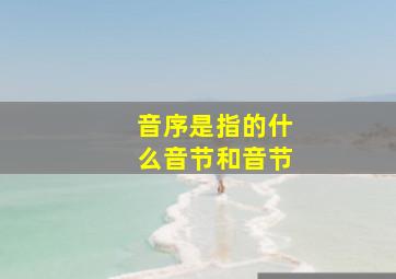 音序是指的什么音节和音节