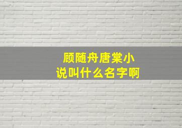 顾随舟唐棠小说叫什么名字啊