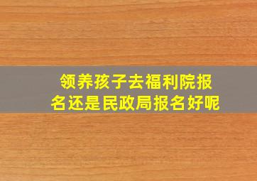 领养孩子去福利院报名还是民政局报名好呢